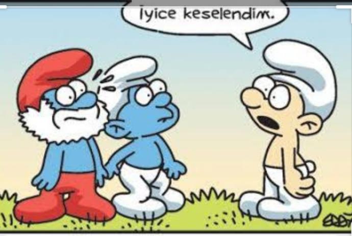 Şirinler Köyü Kurulacak Olsa Hangi Burç Hangi Şirin Olurdu Açıklıyorum!