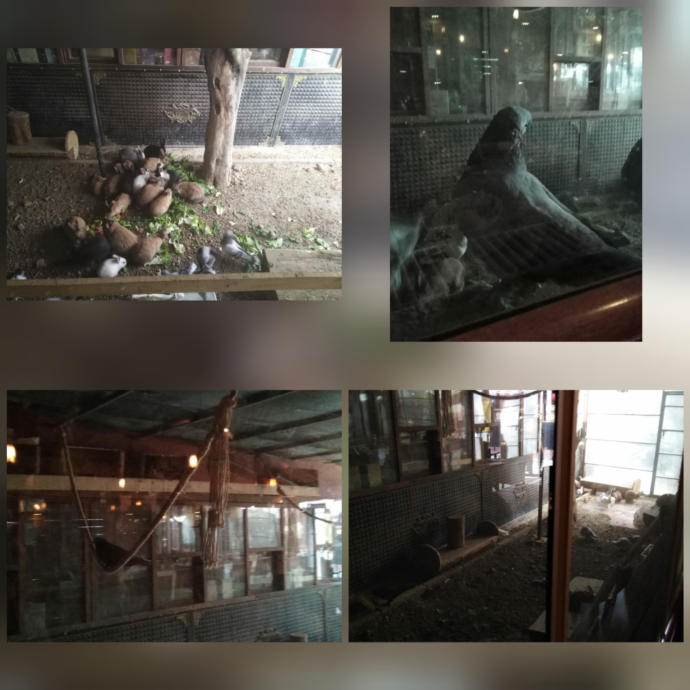 KScan ile Erzincanda Kahvaltı Keyfi! Özerzade Kahve Evi