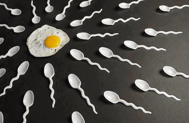 Sperm Sayısını Artırmak Bu Besinler Sayesinde Çok Kolay!