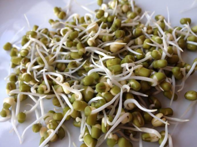 Geçmişi Tarihçiden Öğrenin 2: Antik Çağlardan Bugüne Kadar Devam Eden Yararlı Bakım Yöntemleri!
