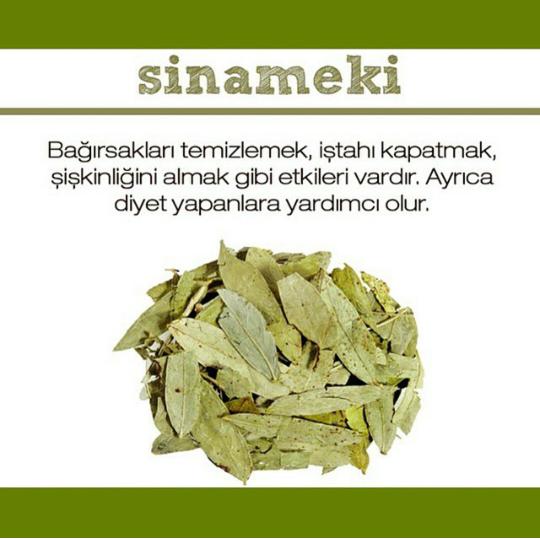 Nedir Bu Sinameki, Faydaları ve Zararları Nelerdir?