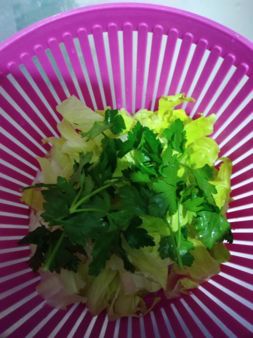 Damaklarınızı Şenlendirecek Rengarenk Bir Salata Tarifi!