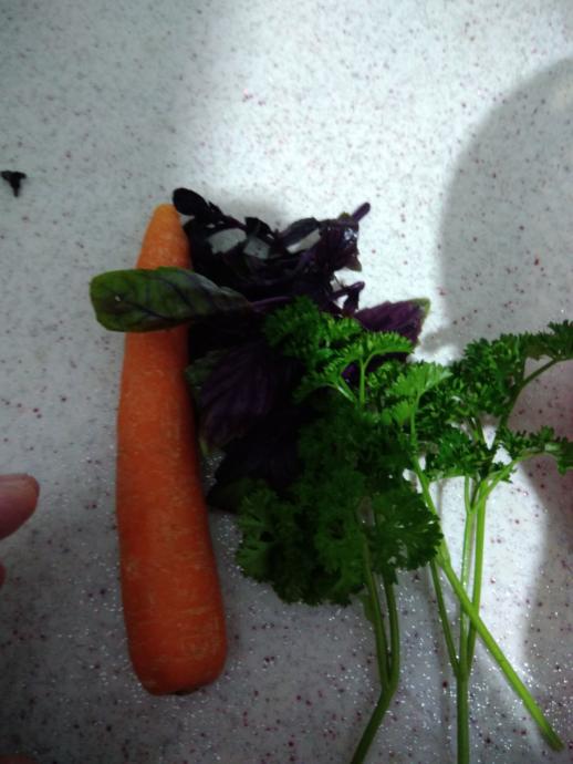 Damaklarınızı Şenlendirecek Rengarenk Bir Salata Tarifi!