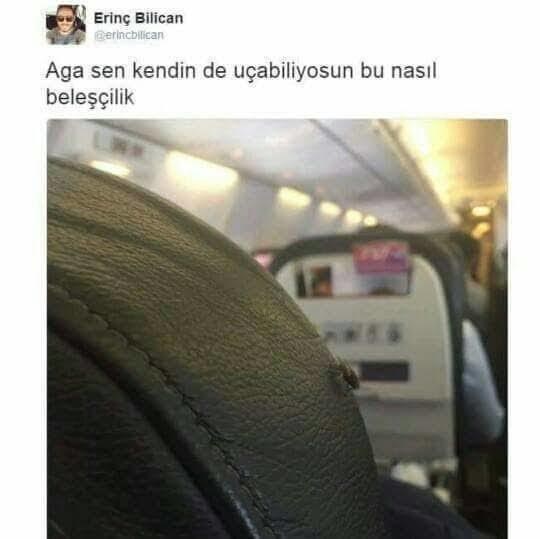 İkizler Burcu Hakkında Yanılgılara Son!