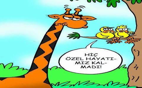 Hoşlandığınız Kişi Nasıl Mesajlaşmalısınız?