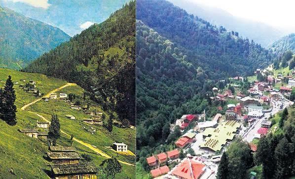 O Artık Sit Hem de Has Bir Sit: Türkiye’nin Kanayan Yarası Çevre ve Doğa Katliamı!