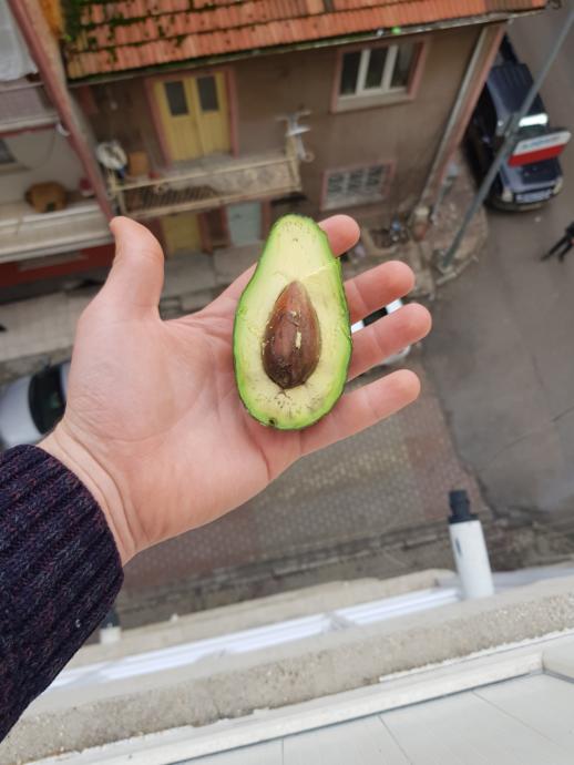 Yağlandırmadan Temiz Kilo Aldıran Shake Tarifi!