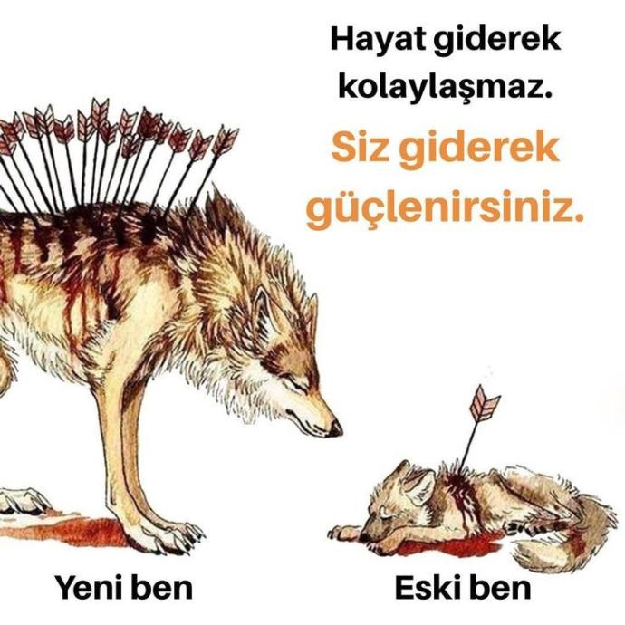 Zayıf Yanlarınızı Dikkate Alın!