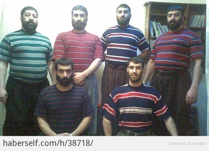 Site Üyeleri Kaç Kategoriye Ayrılır?