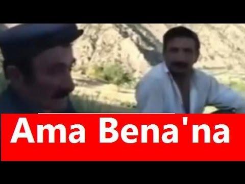 Site Üyeleri Kaç Kategoriye Ayrılır?
