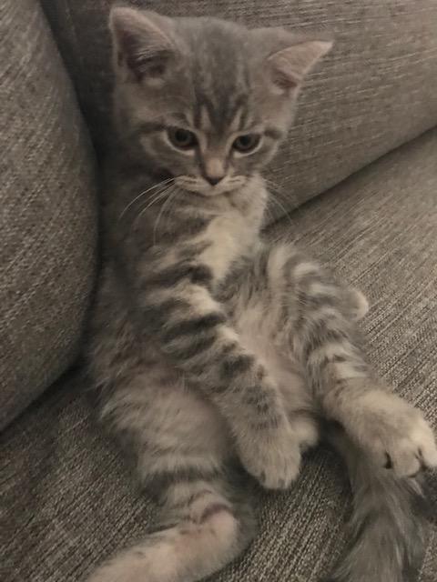 Oğlum Romeo :)
