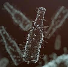 (Elbetteki bu Coronadan bahsetmiyorum :) )