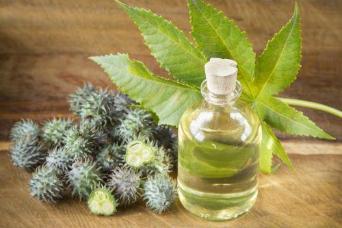 Kaş Gürleştiren Serumlar ve Ev Yapımı Serum Tarifim
