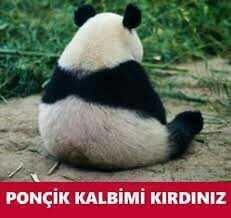 KizlarSoruyorun Olmazsa Olmazları Üyeler!