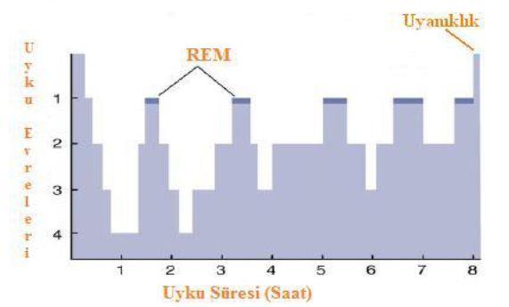 Uyku Meselesini Bir de Benden Dinleyin: Sağlıklı Uyku Nasıl Olur?