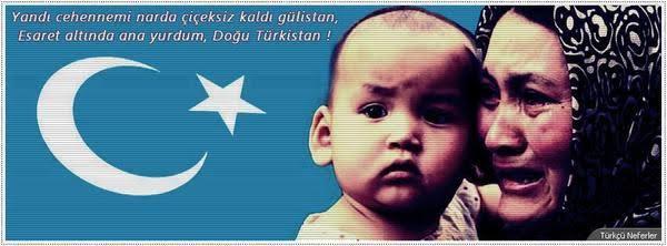 Mazide Bugün Neler Oldu: Gulca Olayları!
