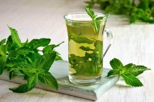 Nane Çayı Tüketmek İçin 6 Neden!