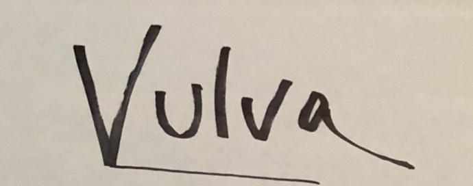 Vulva Bakımı Nasıl Yapılmalıdır?