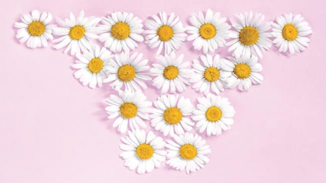 Vulva Bakımı Nasıl Yapılmalıdır?
