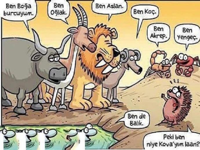 Burçlar Hakkında En Gizli Dedikodular Burada!