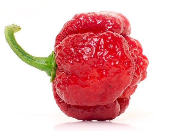 Trinidad Moruga Scorpion - 2 Milyon 9 Bin 231 Scoville