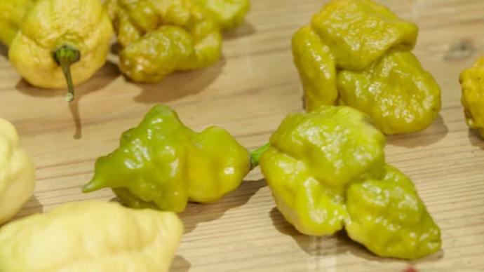 Pepper X - 3 Milyon 180 Bin Scoville