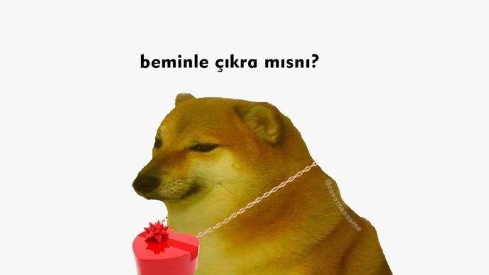 İlişkilerde Belirsizlik Sona Erdi: 14 Şubat’ta Çıkma Teklifi Geri Geldi!