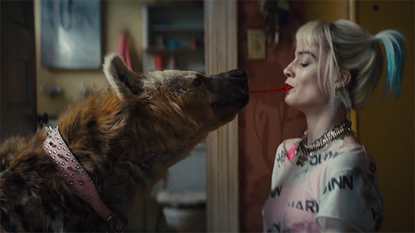 Harley Quinn ve Yırtıcı Kuşlar Filmi İncelemesi!
