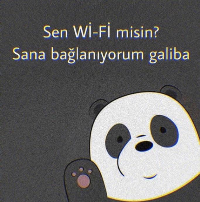 Ben panda değilim bebeğim yoksa bağlanırdım