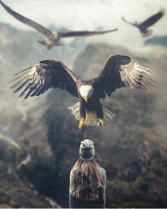 KizlarSoruyorda Editör Olmak İsteyen Herkes Bu Yazıyı Okumalı!