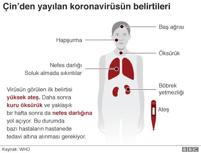 Koronavirüs (Covid-19) Hakkında Bilinmesi ve Dikkat Edilmesi Gereken Hususlar