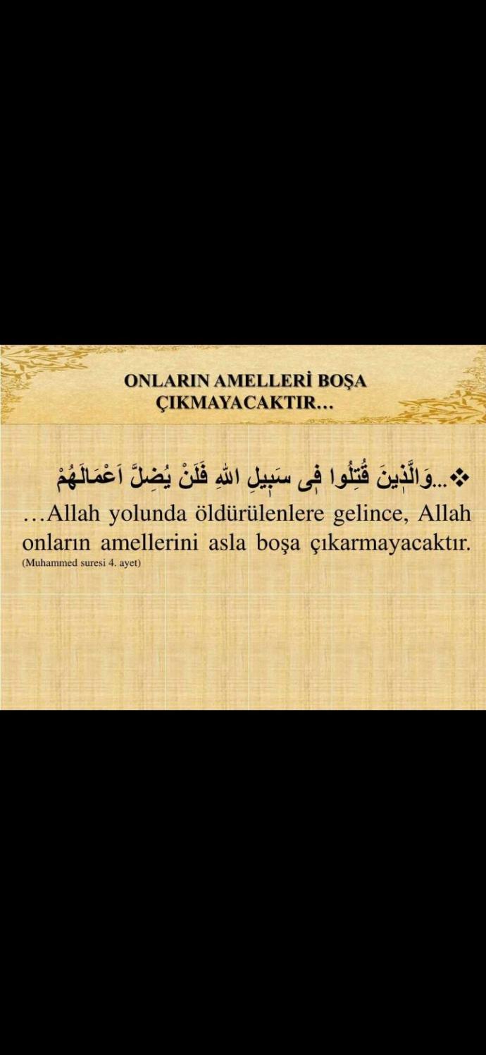 İdlib'teki Şehitlerimizin Kimlikleri, Hayatları ve Ardındaki Paylaşımlar