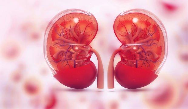 Sizi Sinsi Bir Hastalık ile Tanıştırayım: Protein Kaçağı!
