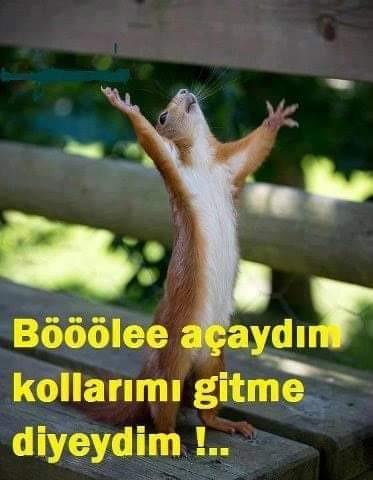Açık Kapı Politikasından Sonra Ülkeyi Terk Eden Göçmen Sayısı Belli Oldu!