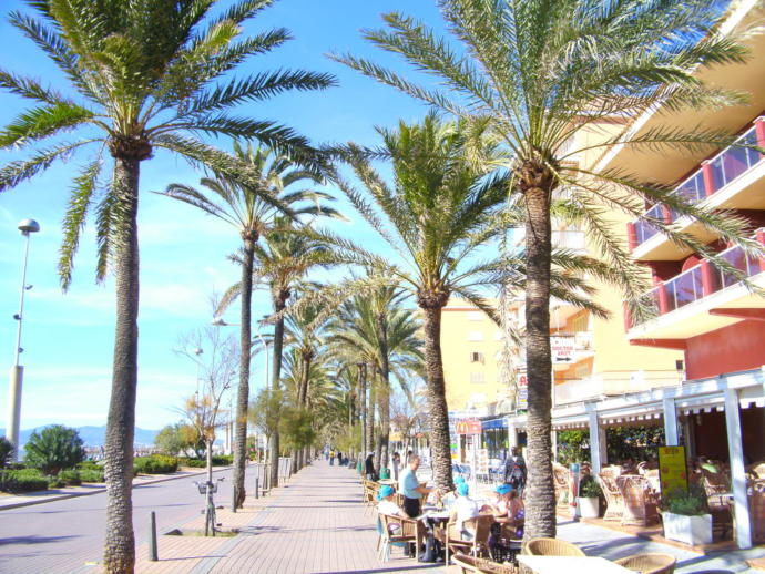 Katedralleri ve Plajlarıyla Ünlü İspanyol Şehri: Mallorca!