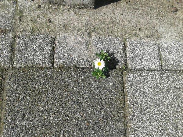 8  Mart  Dünya Emekçi Kadınlar Günü'nde KS Kadınlarının da Söyleyecekleri Var!
