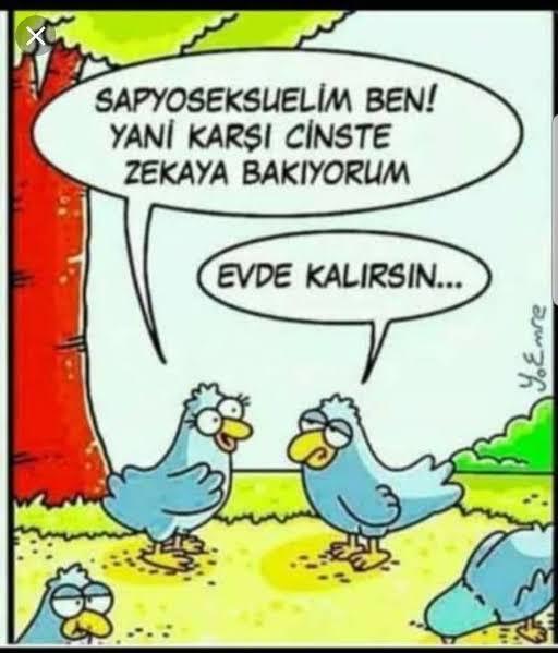 Sapyoseksüel Olanların Özellikleri Nelerdir?