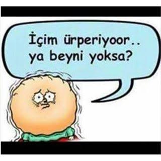 Sapyoseksüel Olanların Özellikleri Nelerdir?