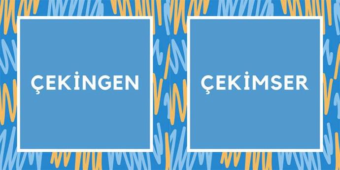 Haydi Teste: Türkçede Birbirlerine Benzerlikleri Nedeniyle En Çok Karıştırılan 10 Kelimeden Kaçını Doğru Biliyorsun?