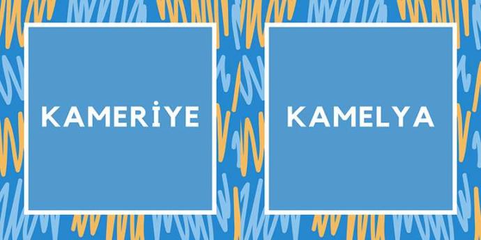 Haydi Teste: Türkçede Birbirlerine Benzerlikleri Nedeniyle En Çok Karıştırılan 10 Kelimeden Kaçını Doğru Biliyorsun?