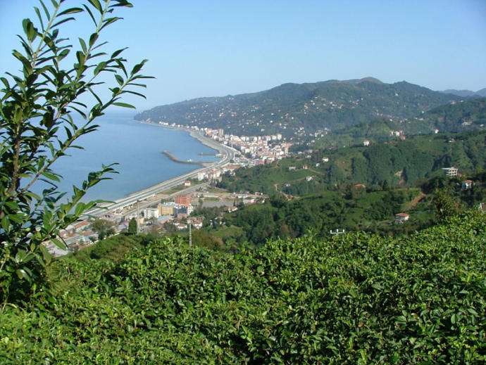 Rize Çayeli