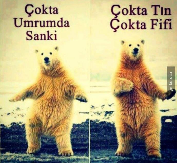 Ece Erken Yaşanan Olaylardan Sonra İstifa Etti