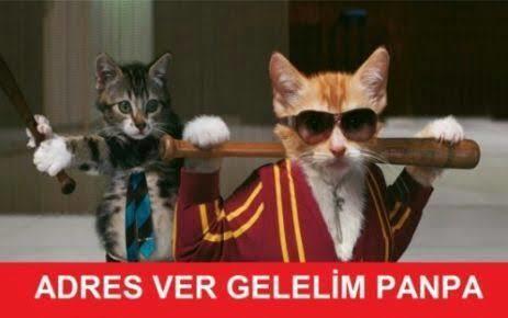 Yamacıma Toplanın Kadınlarla Konuşmanın Sırlarını Deşifre Ediyoruz!