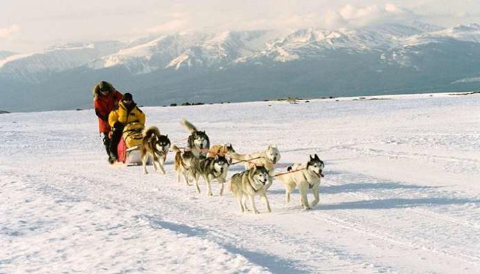 Hayatta Kalma/Gerilim Tarzı Sevenler İçin Kaçırılmayacak 10 Film!