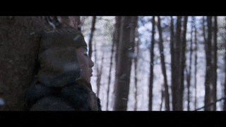 Kaplan Yemi Olmamak: Daeho / The Tiger