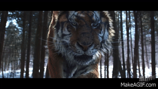 Kaplan Yemi Olmamak: Daeho / The Tiger