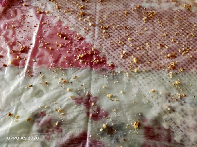 Ev Yapımını Aratmayacak Hazır Yufkadan Bükme Baklava