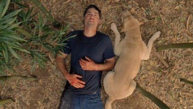 Halen İzlemeyen Varsa ''Lost'' Dizisini Öneririm Neden Öneriyorum Nedenlerini Yazdım!