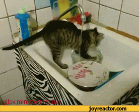 O lekeler &ouml;yle &ccedil;ıkmaz iyi bastır kedicik🐱