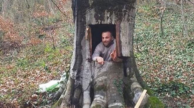 Ağaç kavuğuna giren kişi